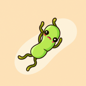 green bean puns