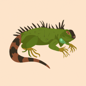 iguana puns